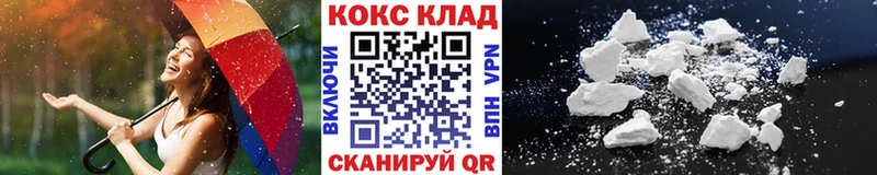 Cocaine FishScale  Купить закладки  Сенгилей 