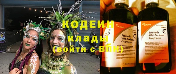 бошки Осинники