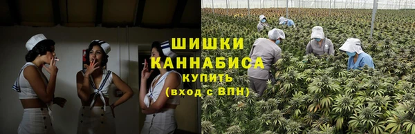 ПСИЛОЦИБИНОВЫЕ ГРИБЫ Остров