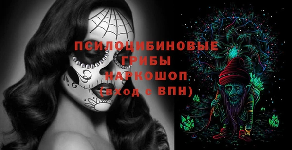 ПСИЛОЦИБИНОВЫЕ ГРИБЫ Остров