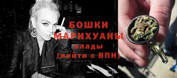 бошки Осинники