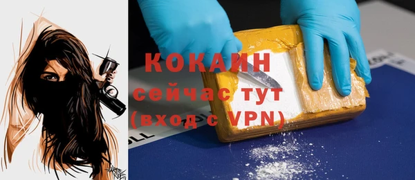 бошки Осинники
