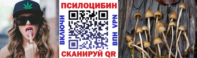 Галлюциногенные грибы Cubensis  Купить  Сенгилей 