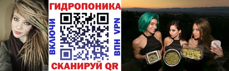 Купить где  Сенгилей  Конопля планчик 